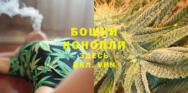 индика Балахна