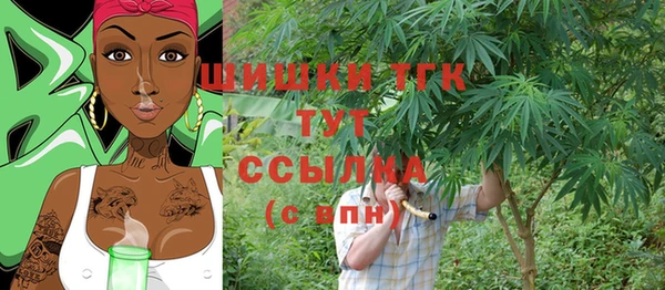 индика Балахна