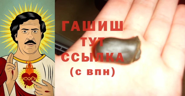 индика Балахна