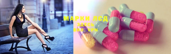 дживик Баксан