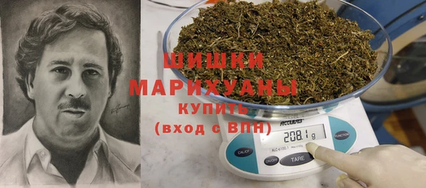 индика Балахна
