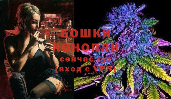 дживик Баксан