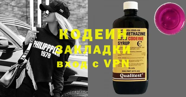 индика Балахна