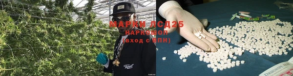 дживик Баксан