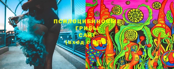 дживик Баксан